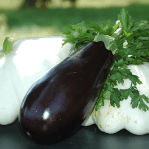 Aubergine