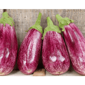 Aubergine  striée violette