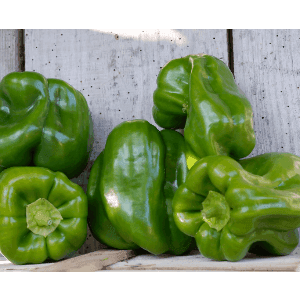 Poivron vert