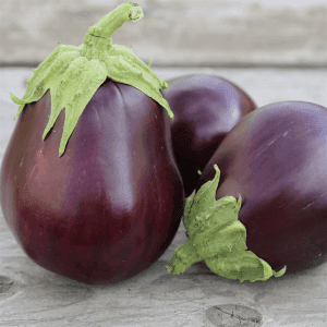 Aubergine