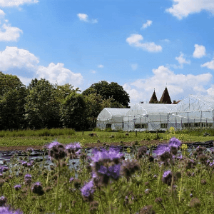 Les jardins de Teulat