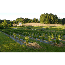 Les Jardins Gourmands #6