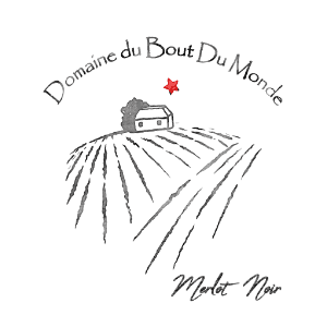 1 Cuvée Merlot Noir 2018   Sans sulfites ajoutés