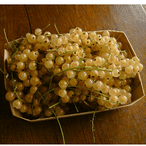 Groseilles blanches