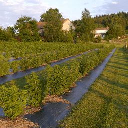 Les Jardins Gourmands #5