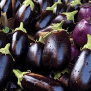 Aubergines