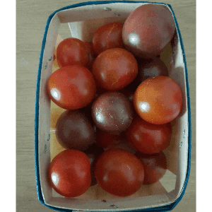 Tomates cerises