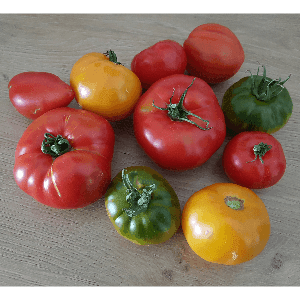 Tomates