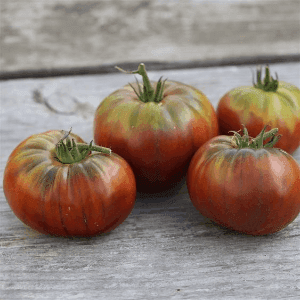 Tomates anciennes mélange