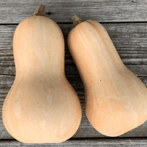 Butternut