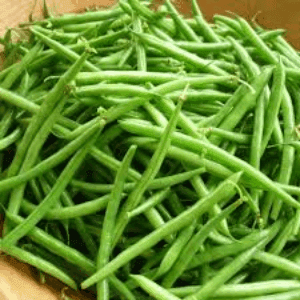 haricot vert (1kg)