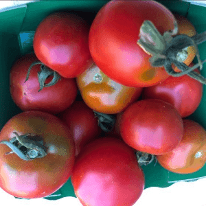 tomate rouge moyenne
