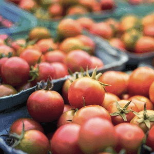 Tomates Cerises