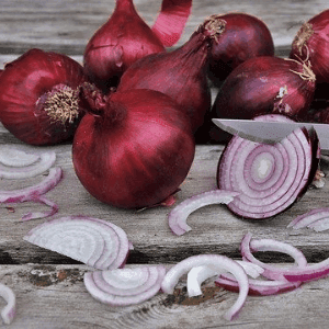 Oignons rouges - Producteur partenaire AB (Champ de la Lande 49)
