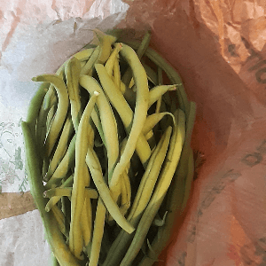 Haricots verts