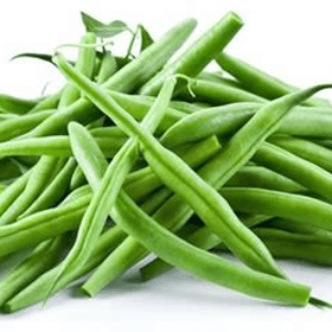 Haricots verts de plein champ