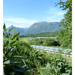 La ferme du Sarrat #2