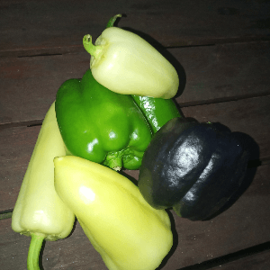 Mélange de poivrons de la Maurie