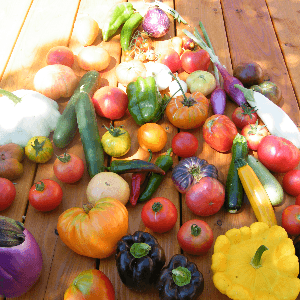 Panier ratatouille pour 4