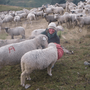 Bergerie La Pastorale