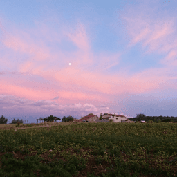 La ferme du petit tracteur #3