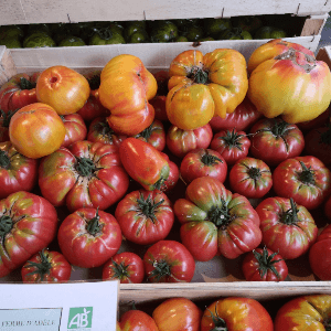 Tomates