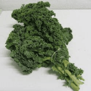 Chou Kale (la botte)