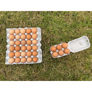 œufs plein air