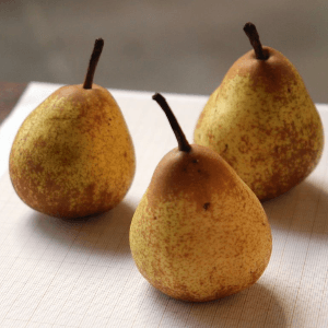 poires variétés diverses