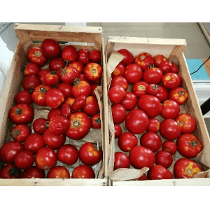 Tomates rondes 1Kg