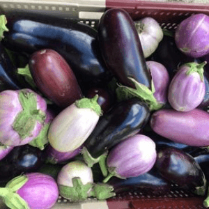 Aubergine 0.5kg