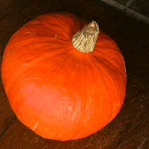 Courge potimarron