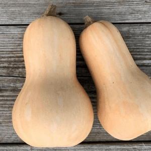 Butternut courge