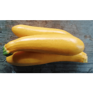 Courgette jaune