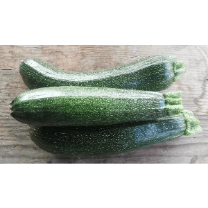 Courgette verte