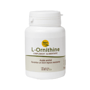 y - L-Ornithine