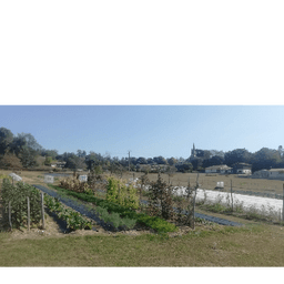 La Ferme des Champs de Bonzac #3