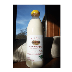 Lait cru Bio de vache (jersiaise)