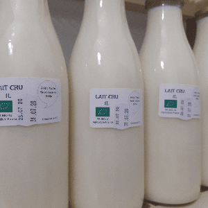 Lait de vache cru