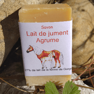 SAVON LAIT DE JUMENT ET AGRUME