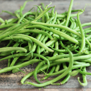 Haricot Vert