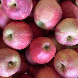 Pomme GALA
