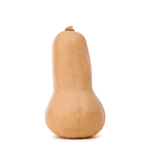 Courge Butternut