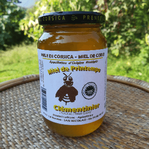 Miel de Printemps Clementinier
