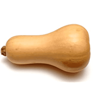 Courge butternut