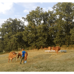 Ferme de Ligogne #5