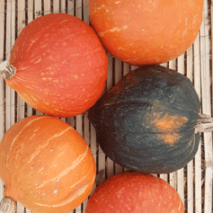 Potimarrons (1kg)