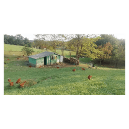 La Ferme des Champs de Bonzac #4