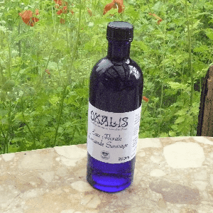 Eau florale Lavande sauvage