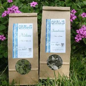 tisane  camomille